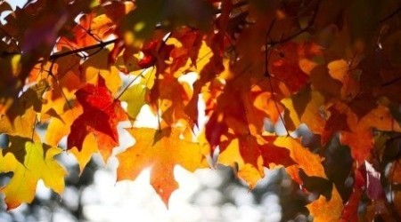 Autunno