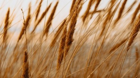 kristaps-ungurs-SI7BhmpahNM-unsplash