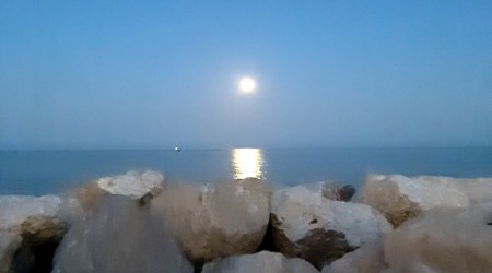 mare (2)