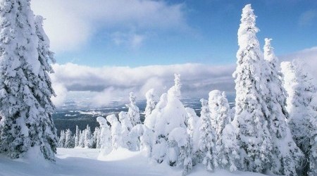 neve_016