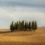 Toscana pexels-david-kooijman-1969435-3591321