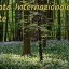 giornata-internazionale-delle-foreste