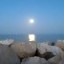 mare (2)